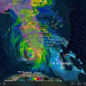 Meet your Posher, Loretta